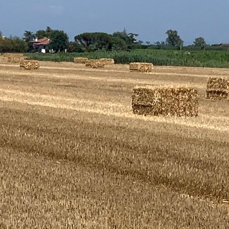Agriturismo Ca' Alleata Caorle Eksteriør billede