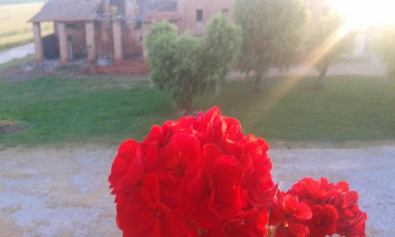 Agriturismo Ca' Alleata Caorle Eksteriør billede